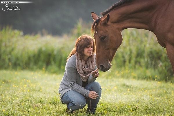 Pferd schmust mit Mensch